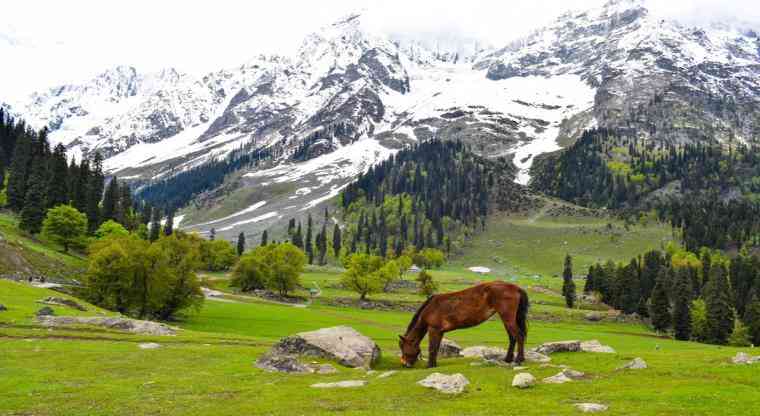 تور کشمیر |جواهری در شمال هند|