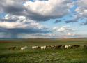 تور طبیعت گردی مغولستان 