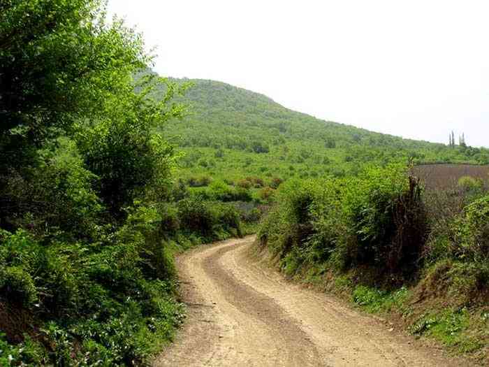 ترکمن صحرا
