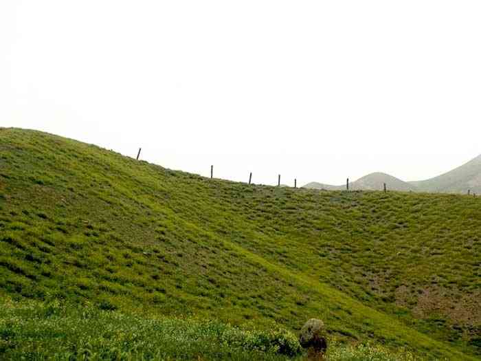 ترکمن صحرا