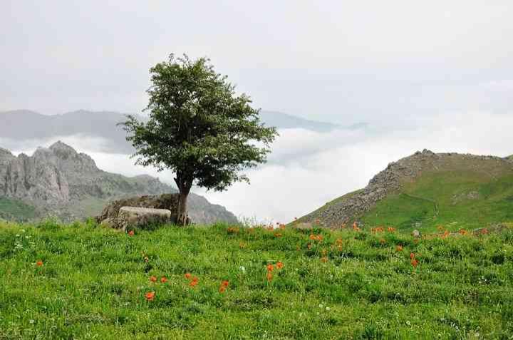 تور تعطیلات خرداد