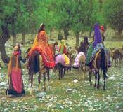 nomads of iran