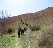 طبیعت گردی