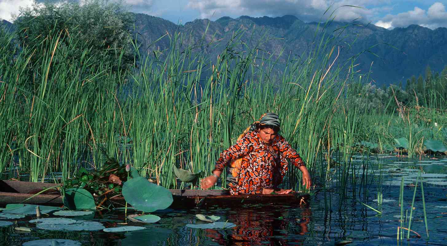 ساز و آواز فارس در باغ و راغ کشمیر ساز و آواز فارس در باغ و راغ کشمیر