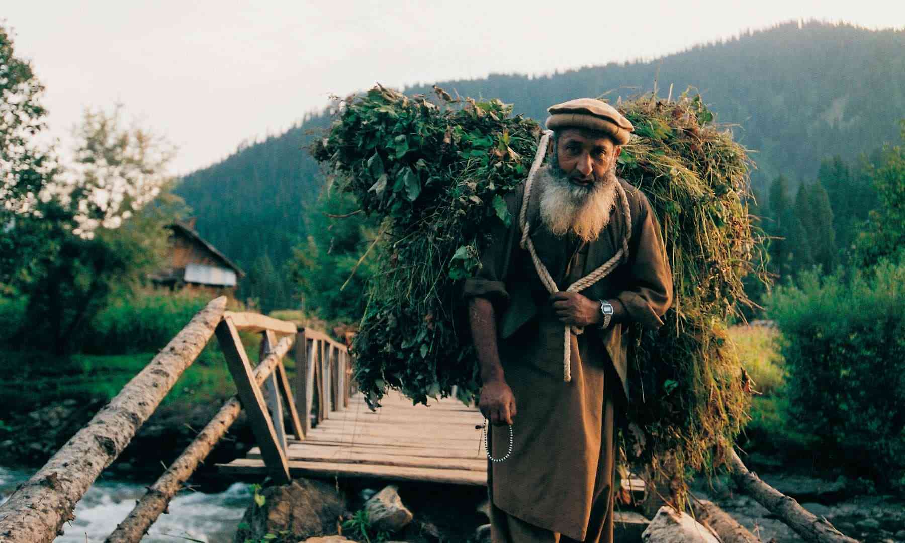 تور کشمیر تور کشمیر