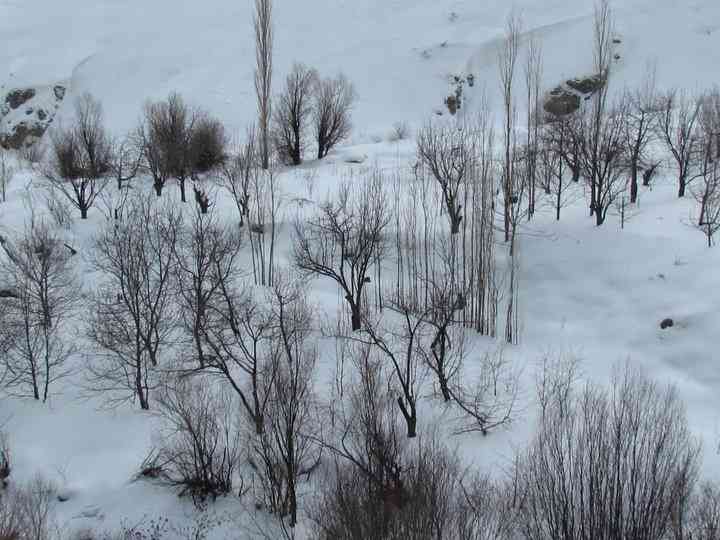 تور یک روزه غار یخ مراد |هفته دوم اسفند| تور یک روزه غار یخ مراد |هفته دوم اسفند|