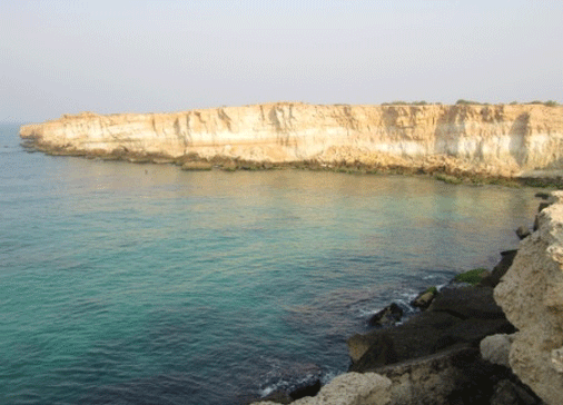 تور طبیعت بوشهر| تور نوروز 95| اجرای دوم تور طبیعت بوشهر| تور نوروز 95| اجرای دوم