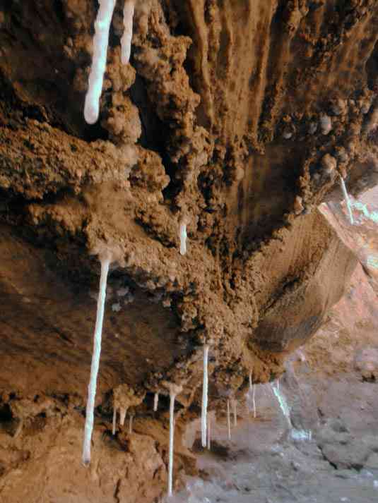 تور یک روزه تپه های مریخی |تور تعظیلات عید قربان| تور یک روزه تپه های مریخی |تور تعظیلات عید قربان|