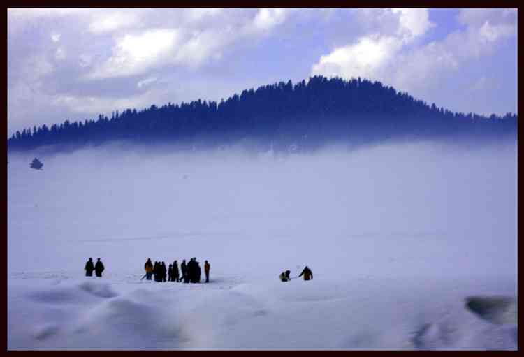 تور کشمیر |ضیافت قایق ها| تور کشمیر |ضیافت قایق ها|