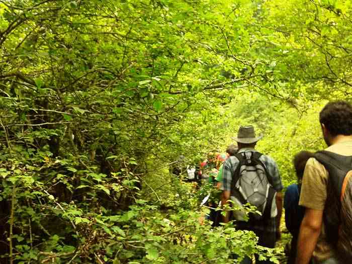 تور یک روزه جنگل ارفع ده و چشمه پراو |تور تعطیلات عید قربان| تور یک روزه جنگل ارفع ده و چشمه پراو |تور تعطیلات عید قربان|