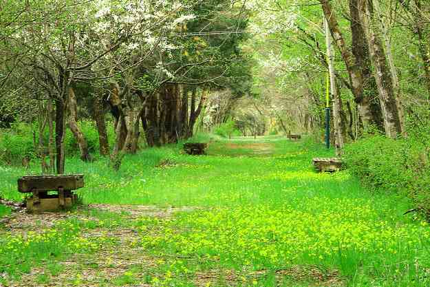تور طبیعت گردی تخصصی ارمنستان تور طبیعت گردی تخصصی ارمنستان