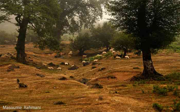 ماسال و ییلاق اولسبلانگاه |تور تعطیلات عید قربان| ماسال و ییلاق اولسبلانگاه |تور تعطیلات عید قربان|