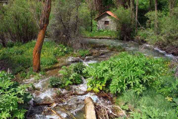 تور یکروزه شهرستانک |تور نوروز 95| تور یکروزه شهرستانک |تور نوروز 95|