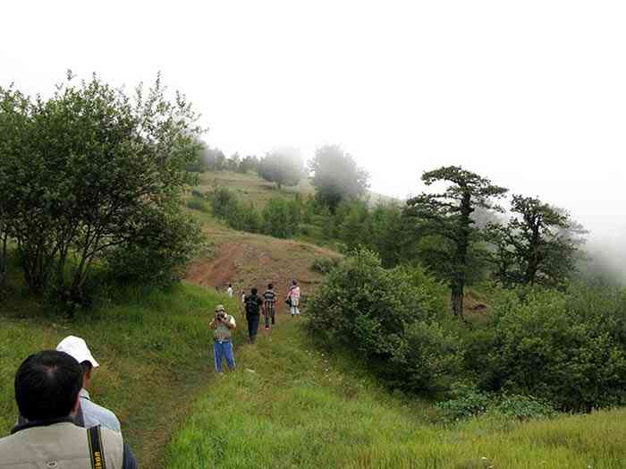 تور جنگل ابر |تور تعطیلات مرداد| تور جنگل ابر |تور تعطیلات مرداد|
