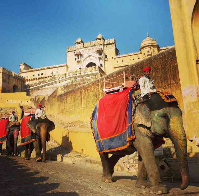 تور جامعه شناسی هند| با حضور دکتر شیرین احمدنیا| تور جامعه شناسی هند| با حضور دکتر شیرین احمدنیا|