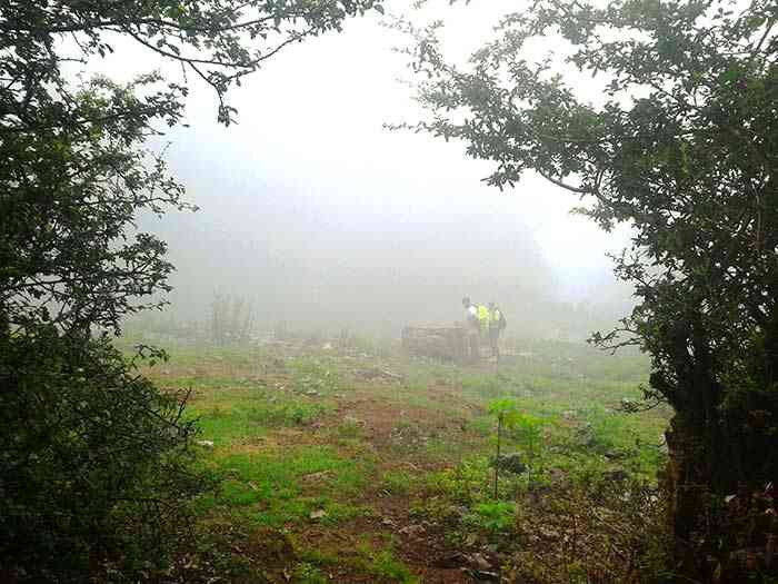 تور یک روزه جنگل ارفع ده و چشمه پراو |تور تعطیلات عید قربان| تور یک روزه جنگل ارفع ده و چشمه پراو |تور تعطیلات عید قربان|
