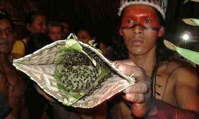 تور برزیل |تابستان 96| تور برزیل |تابستان 96|