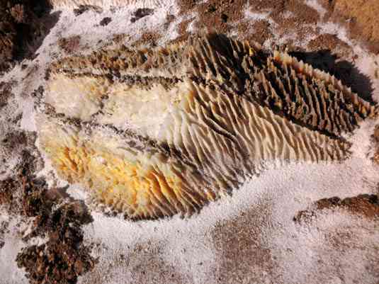 تور یکروزه تپه های مریخی |هفته اول اسفند| تور یکروزه تپه های مریخی |هفته اول اسفند|