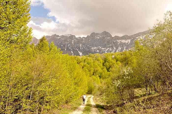 تور یک روزه |جنگل راش| تور یک روزه |جنگل راش|