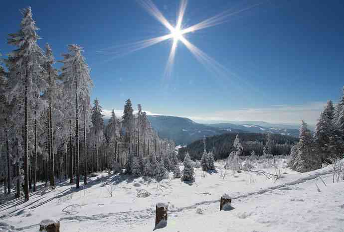 تور آلمان و فرانسه |یوگا و هنر زندگی| تور آلمان و فرانسه |یوگا و هنر زندگی|