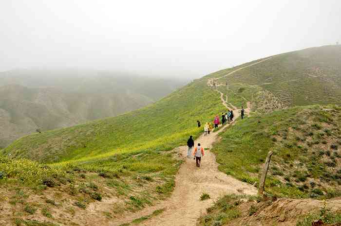 تور ترکمن صحرا سرزمین مختومقلی فراغی |تور نوروز 95| اجرای سوم تور ترکمن صحرا سرزمین مختومقلی فراغی |تور نوروز 95| اجرای سوم