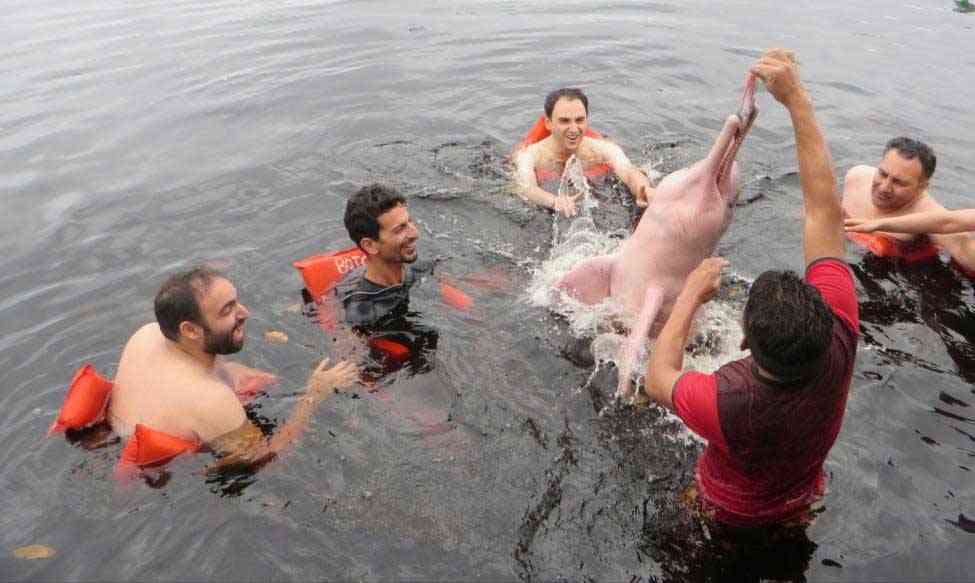 تور برزیل |تابستان 96| تور برزیل |تابستان 96|