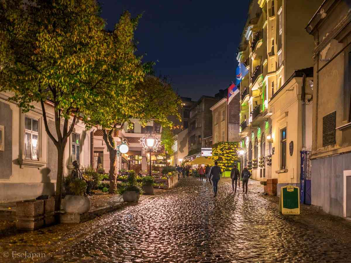 تور صربستان تور صربستان