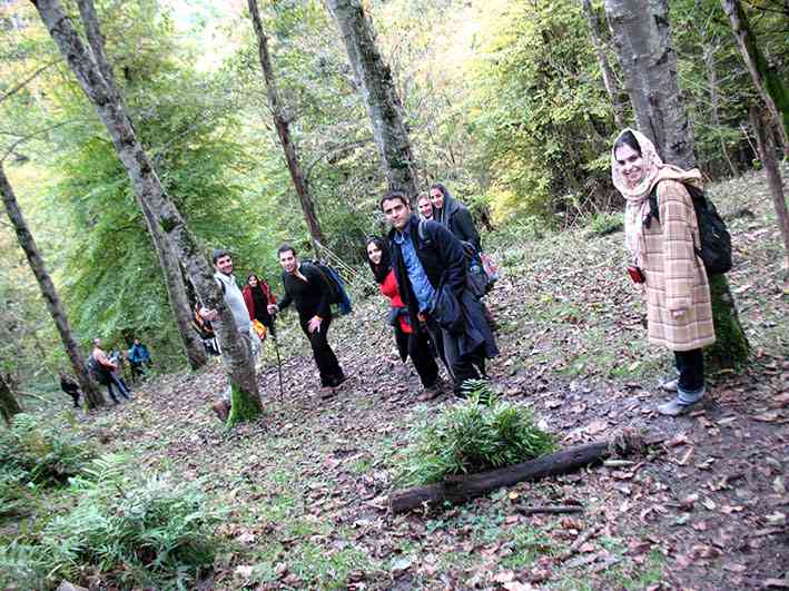 جنگل لاجیم جنگل لاجیم