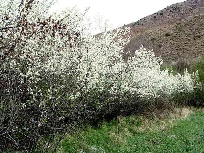 تور یک روزه غار بورنیک و روستای هرانده |تور تعطیلات عید قربان| تور یک روزه غار بورنیک و روستای هرانده |تور تعطیلات عید قربان|