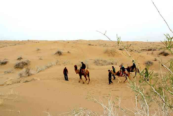 تور یک روزه کویر ابوزیدآباد نوش آباد |تور نوروز 95| تور یک روزه کویر ابوزیدآباد نوش آباد |تور نوروز 95|