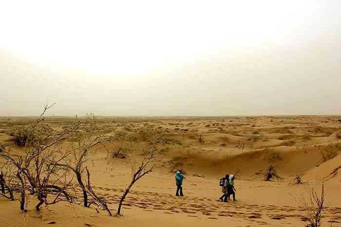 تور یک روزه کویر ابوزیدآباد نوش آباد |تور نوروز 95| تور یک روزه کویر ابوزیدآباد نوش آباد |تور نوروز 95|