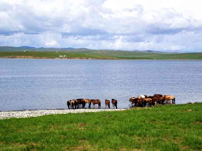 تور طبیعت گردی مغولستان تور طبیعت گردی مغولستان