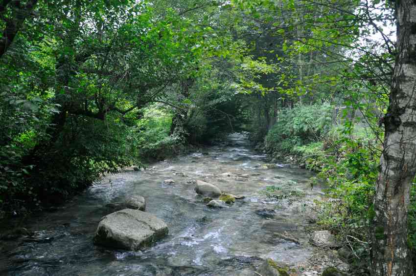تور رودخانهنوردی در جنگل های دیورش |هفته سوم شهریور| تور رودخانهنوردی در جنگل های دیورش |هفته سوم شهریور|