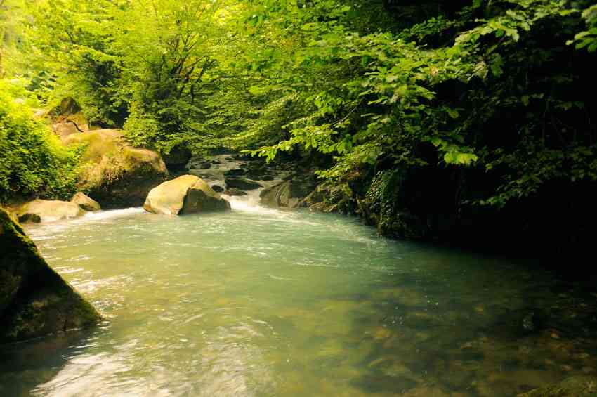 تور رودخانهنوردی در جنگل های دیورش |هفته سوم شهریور| تور رودخانهنوردی در جنگل های دیورش |هفته سوم شهریور|