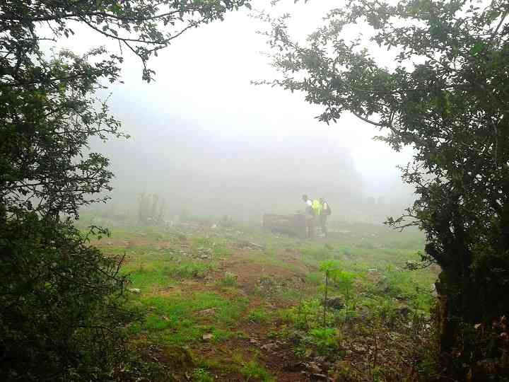 تور یک روزه جنگل ارفع ده و چشمه پراو |هفته اول اردیبهشت| تور یک روزه جنگل ارفع ده و چشمه پراو |هفته اول اردیبهشت|