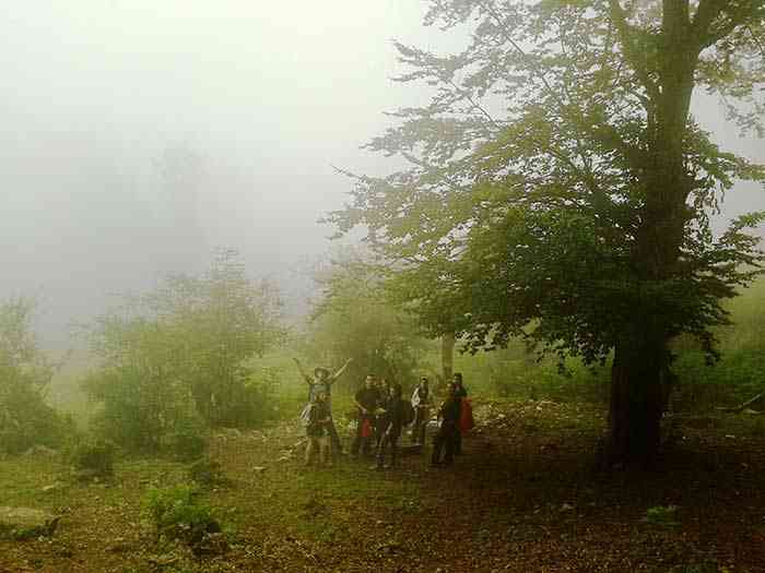 یک سفر یک کتاب |جنگل ارفع ده| یک سفر یک کتاب |جنگل ارفع ده|