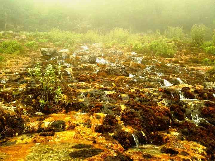 یک سفر یک کتاب |جنگل ارفع ده| یک سفر یک کتاب |جنگل ارفع ده|