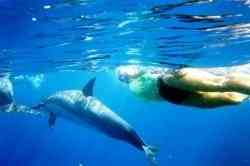 تانزانیا بهشت عکاسان دنیا | کلیمانجارو،زنگبار،سرنگتی،آروشا | تانزانیا بهشت عکاسان دنیا | کلیمانجارو،زنگبار،سرنگتی،آروشا |