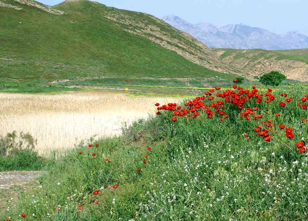 تور طبیعت گردی خراسان شمالی (کلات نادری تا دره شمخال)|تور نروزو95| تور طبیعت گردی خراسان شمالی (کلات نادری تا دره شمخال)|تور نروزو95|