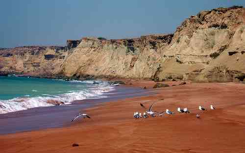 تور چابهار |تور نوروز 95| اجرای اول تور چابهار |تور نوروز 95| اجرای اول