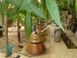 تور یکروزه نیاسر و کاشان |هفته اول اردیبهشت| تور یکروزه نیاسر و کاشان |هفته اول اردیبهشت|