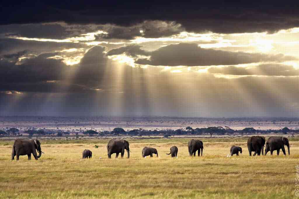 تور کنیا تور کنیا