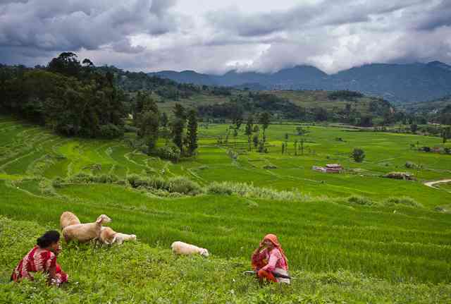 نپال |سرزمین زیبای هزار معبد| نپال |سرزمین زیبای هزار معبد|