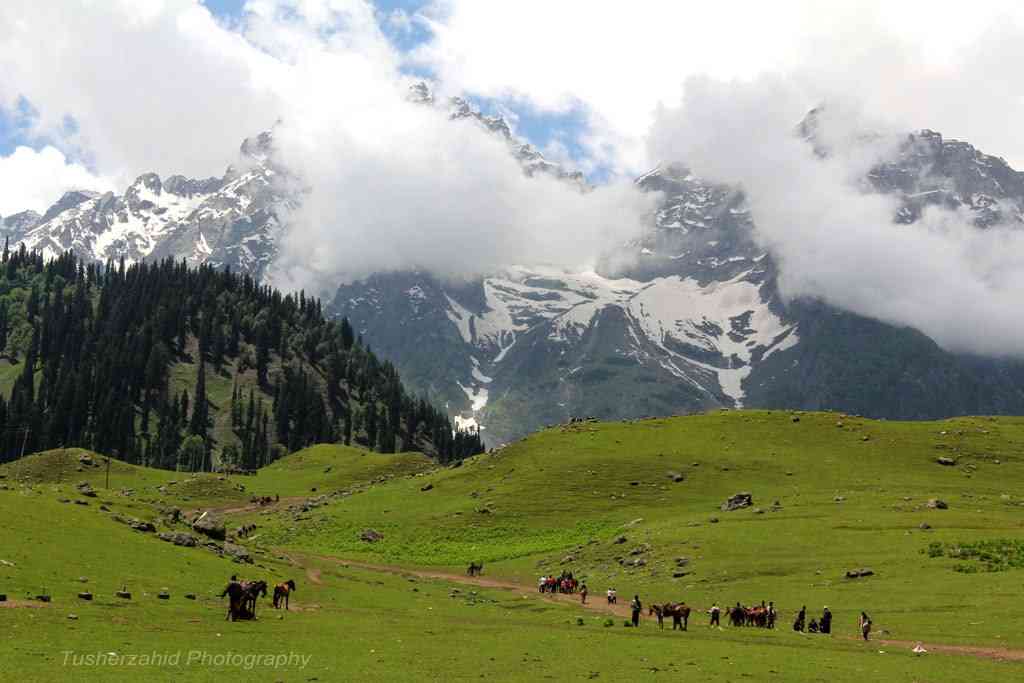 تور کشمیر |ضیافت قایق ها|(اجرای دوم) تور کشمیر |ضیافت قایق ها|(اجرای دوم)