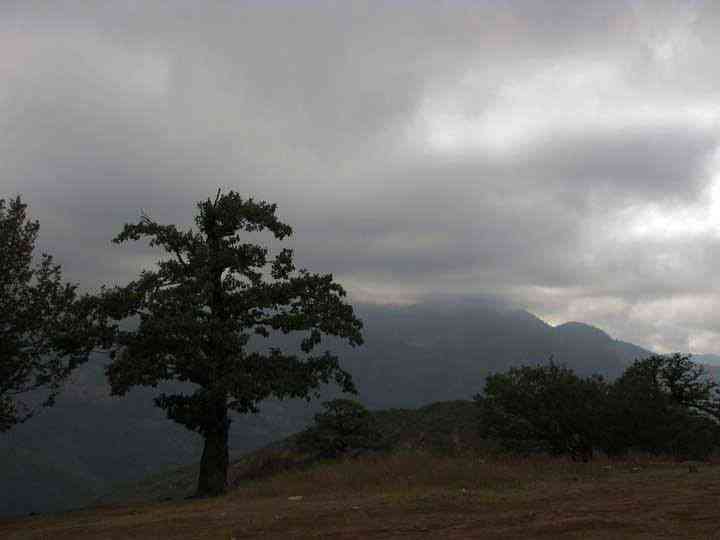 تور جنگل ابر و چشمه های باداب سورت |تعطیلات اردیبهشت| اجرای اول تور جنگل ابر و چشمه های باداب سورت |تعطیلات اردیبهشت| اجرای اول