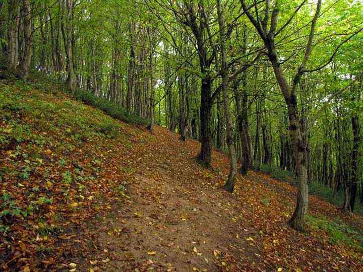 تور جنگل ابر و چشمه های باداب سورت |تعطیلات اردیبهشت| اجرای اول تور جنگل ابر و چشمه های باداب سورت |تعطیلات اردیبهشت| اجرای اول