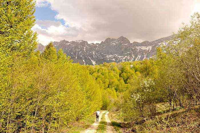 تور جنگل راش |تور یک روزه| تور جنگل راش |تور یک روزه|