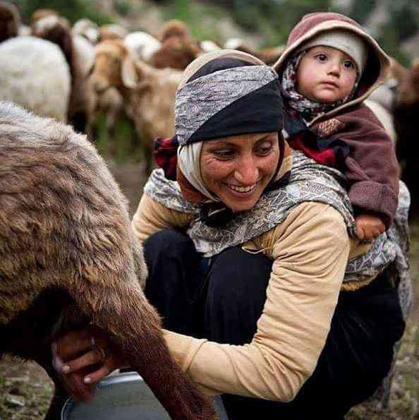تور عشایر قشقایی |دوشا دوش ایل قشقایی| تور عشایر قشقایی |دوشا دوش ایل قشقایی|