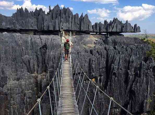 تور ماداگاسکار|سرزمین عجایب| تور ماداگاسکار|سرزمین عجایب|