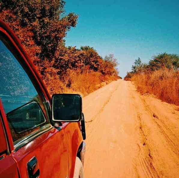 تور ماداگاسکار|سرزمین عجایب| تور ماداگاسکار|سرزمین عجایب|